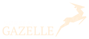 Børsen Gazelle-prisvinder